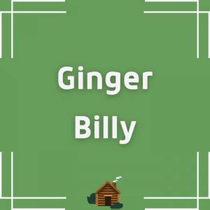 Ginger Billy Net Worth & Earnings (2024)